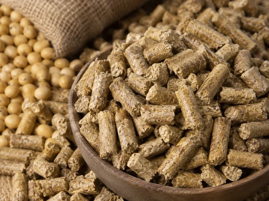 Soybean Meal
