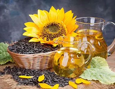 Sunflower Oil