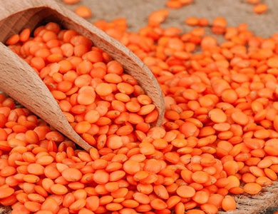 Red Lentil
